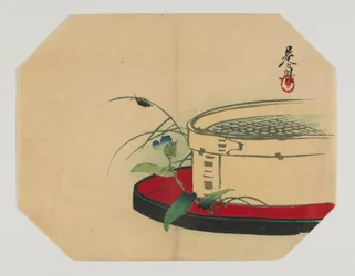 Print for an Uchiwa; Firefly on Flowering Plant, with Bamboo Sieve